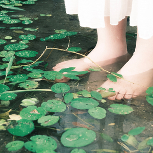 녹음이 지는 계절