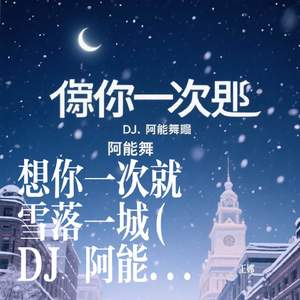 想你一次就雪落一城(DJ 阿能版)