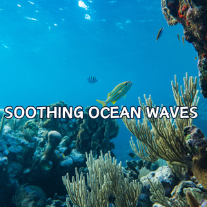 Ocean Meditation: Waves, Wind, and Nature: A Complete Immersive Experience of the Ocean, Perfect for Deep Meditation and Mindfulness