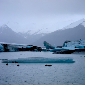Glacier Lagoon - Jokulsarlon, Iceland