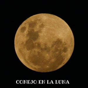 Conejo en la luna