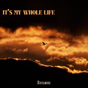 it's my whole life (Special Version Techno melodic)