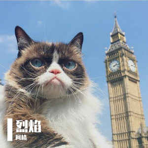 烈焰燃烧 (Blazing Flames)