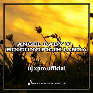 DJ Angel Baby x Bingung Pilih Janda