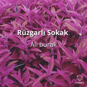 Rüzgarlı Sokak