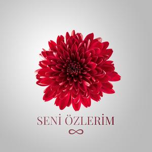 Seni Özlerim
