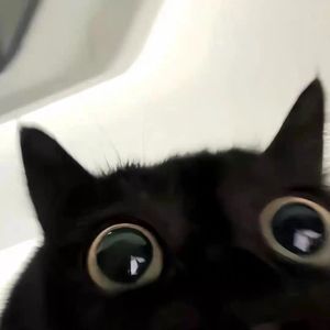 熙春