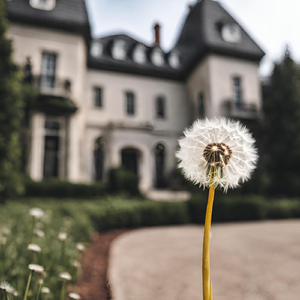 Drake's House (Instrumental Version)