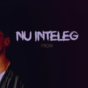 Nu inteleg