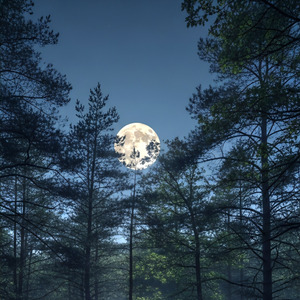 ほんとにいいの？