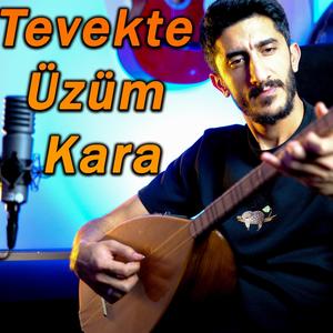 Tevekte Üzüm Kara (Bağlama )