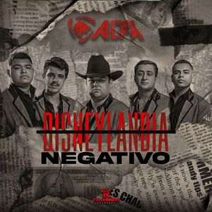 Disneylandia Negativo