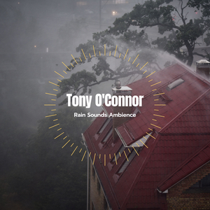 Meditation Rain Sounds