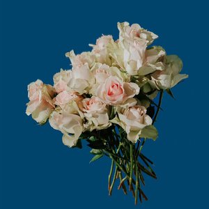 友情多余暧昧未够