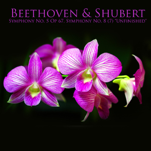 Symphony No. 8 (7) "Unfinished" in B Minor, D. 759:I. Andante moderato