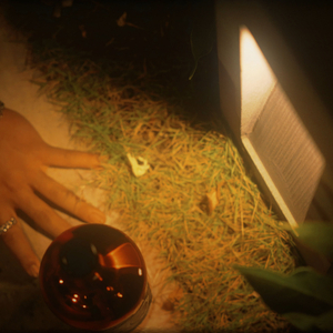 Em Không Muốn Yêu Anh Nữa Đâu