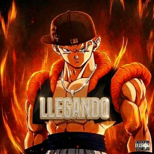LLEGANDO