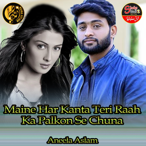 Maine Har Kanta Teri Raah Ka Palkon Se Chuna (1)