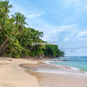 正在学习优秀的轻音乐