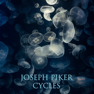 Cycles