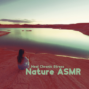 Rain, Wind and Thunderstorm at Night