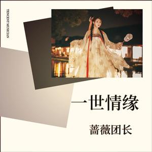 一世情缘 (DJ默涵版)