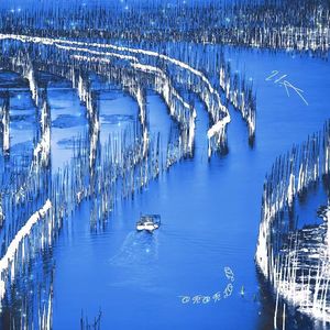 恋爱八年的对象背着我去相亲结果对面是我