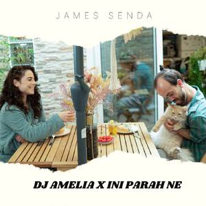 DJ AMELIA X INI PARA NE