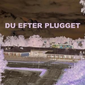 Du Efter Plugget