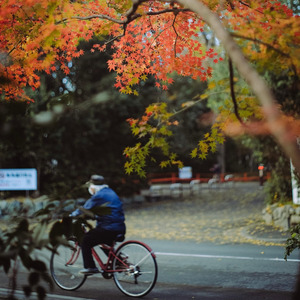 我的人生走过很多路
