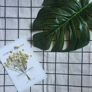 怎叹（片段）（翻自 郑鱼）