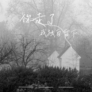 你走了 我独自留下