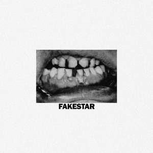 FAKESTAR