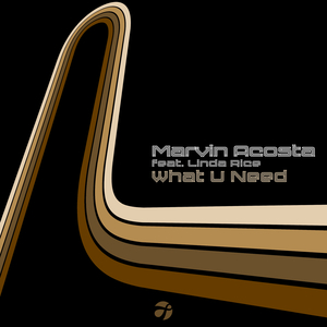 What U Need (Extended)