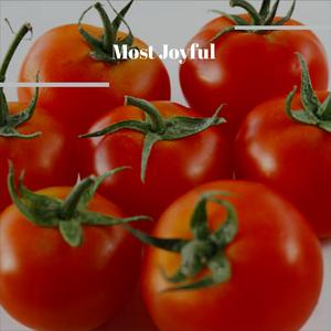 Officialty Christmas