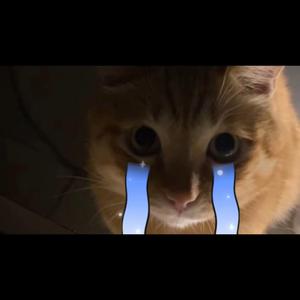 อิจฉาคนในใจแกว่ะ