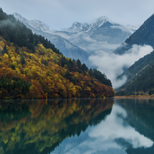 海岸的思念 伴奏