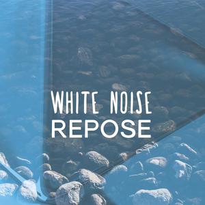 White Noise: A Kettle and Microwave