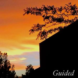 Guided