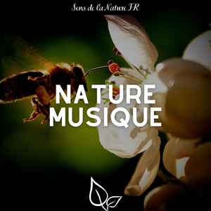 L'harmonie des sens (with Forest Sound)