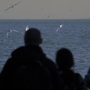 暴风雨第三乐章