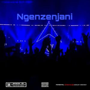 Ngenzenjani