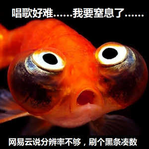 口袋的天空（Cover 张韶涵）