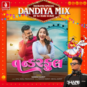 Wonderful (Dandiya Mix)