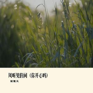 你开心吗