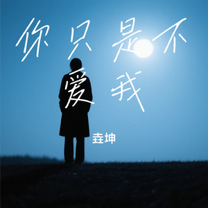 你只是不爱我