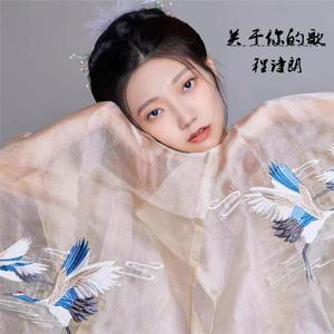 关于你的歌