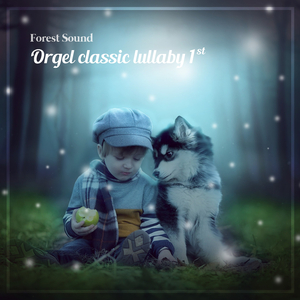 슈베르트의 자장가(오르골)