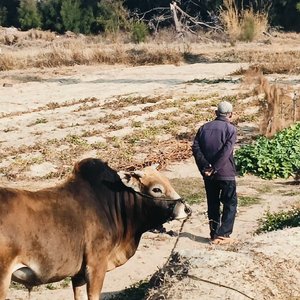 冬夜炉火暖乡情
