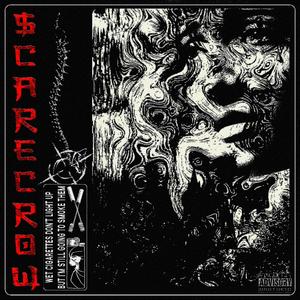 Illusions Look Realistic